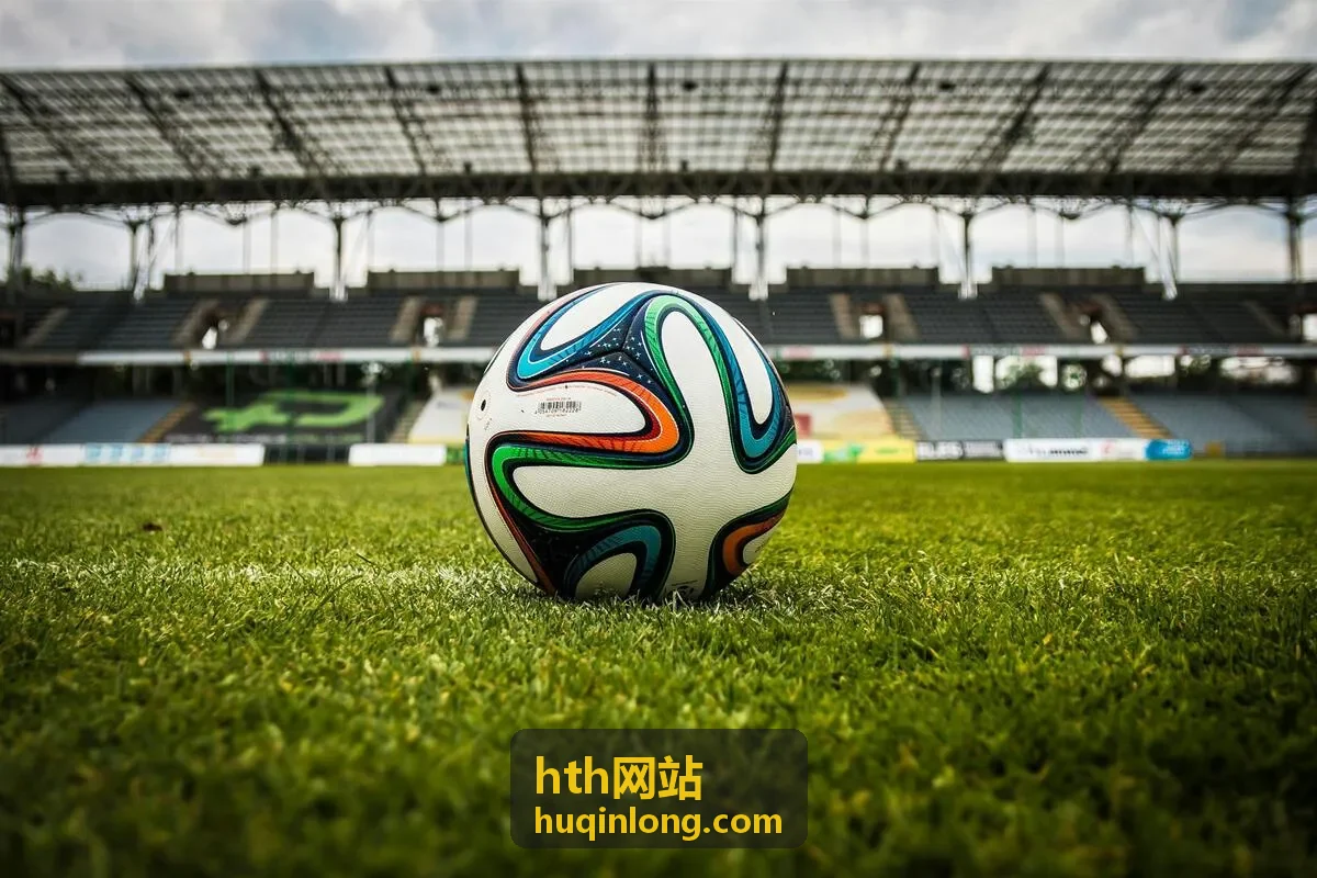hth网站 账号信息提交与短信核验环节示意