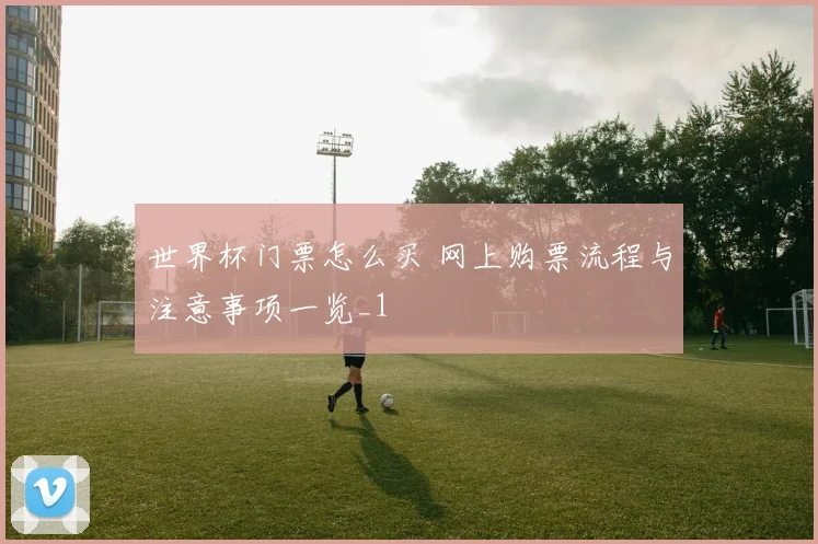 世界杯门票怎么买 网上购票流程与注意事项一览_1